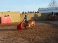 S0890361