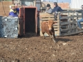 DSC_0118